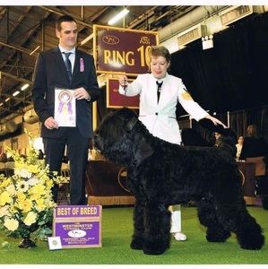 Meet your Posher, Elena